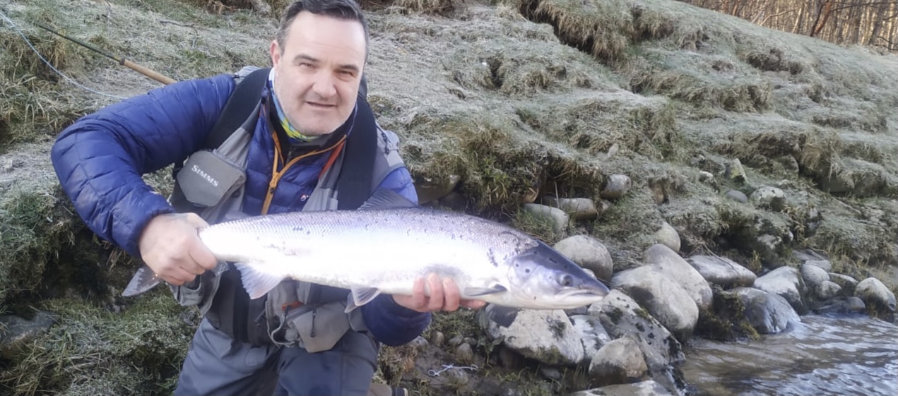 Week Commencing 12th April – Sunny days and sealiced springers