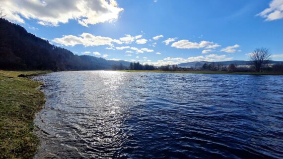 Looking upriver from Burnmouth at Rothes, one of the best casts in the spring.
