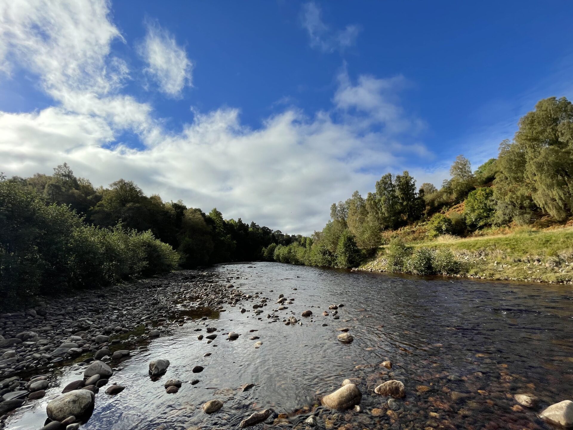 Job Vacancy: Fisheries Biologist/Environmental Scientist