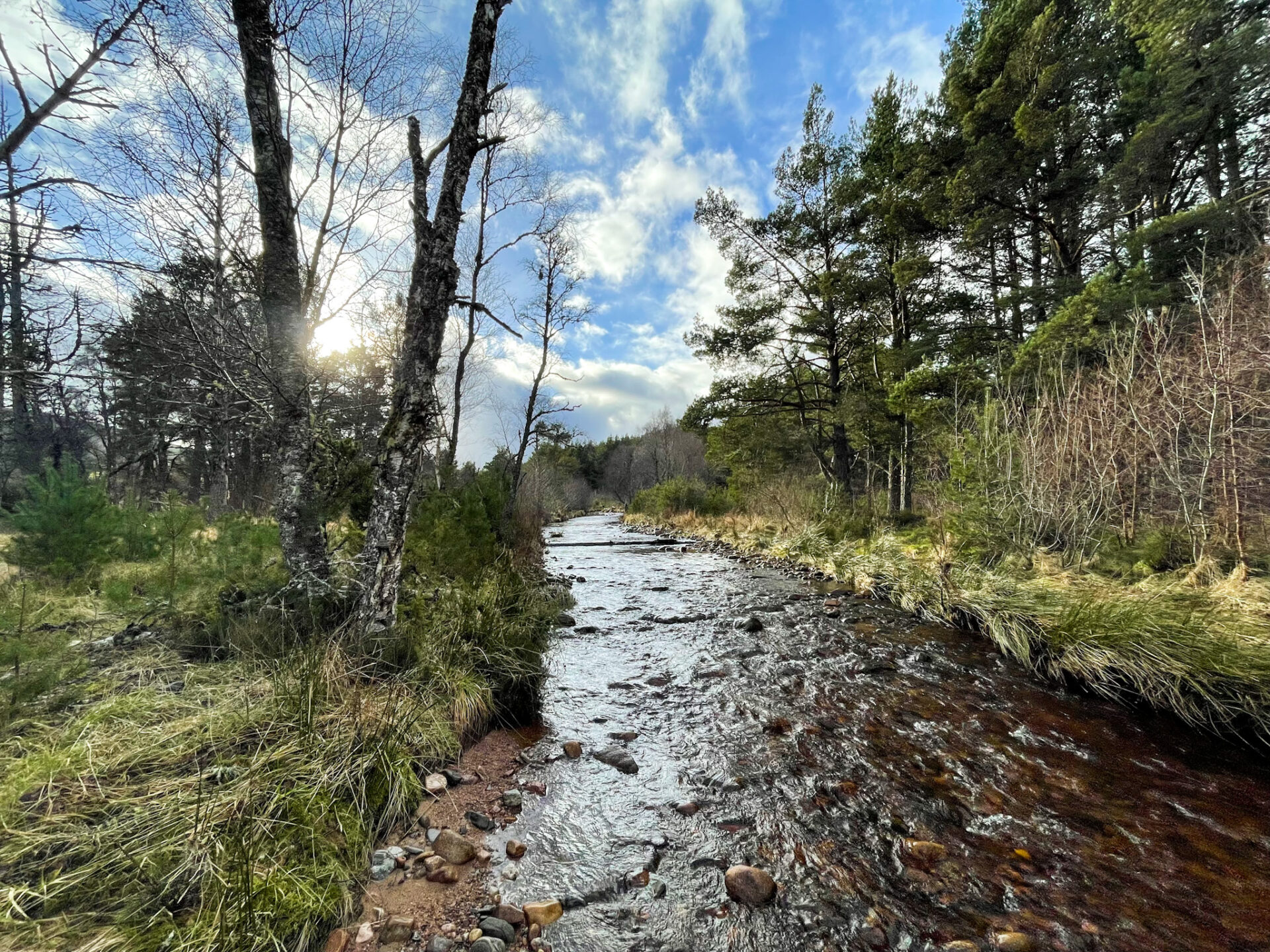 Job Vacancy: Nature Restoration Officer