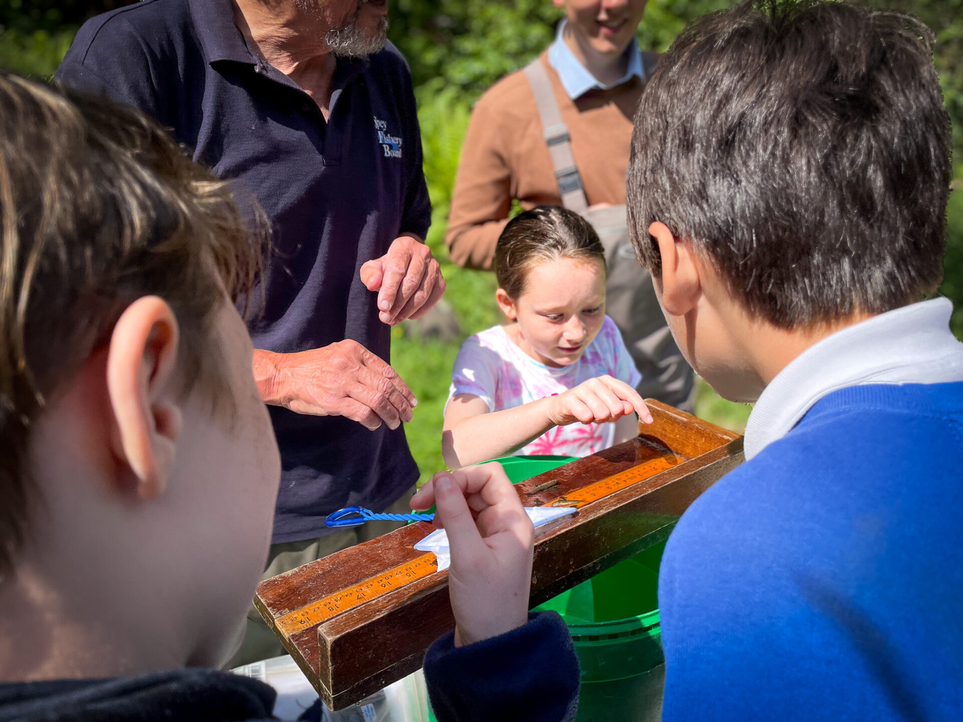 Newtonmore Primary School Pupils Dive into “Salmon in the Classroom” with Riverside Field Trip. 