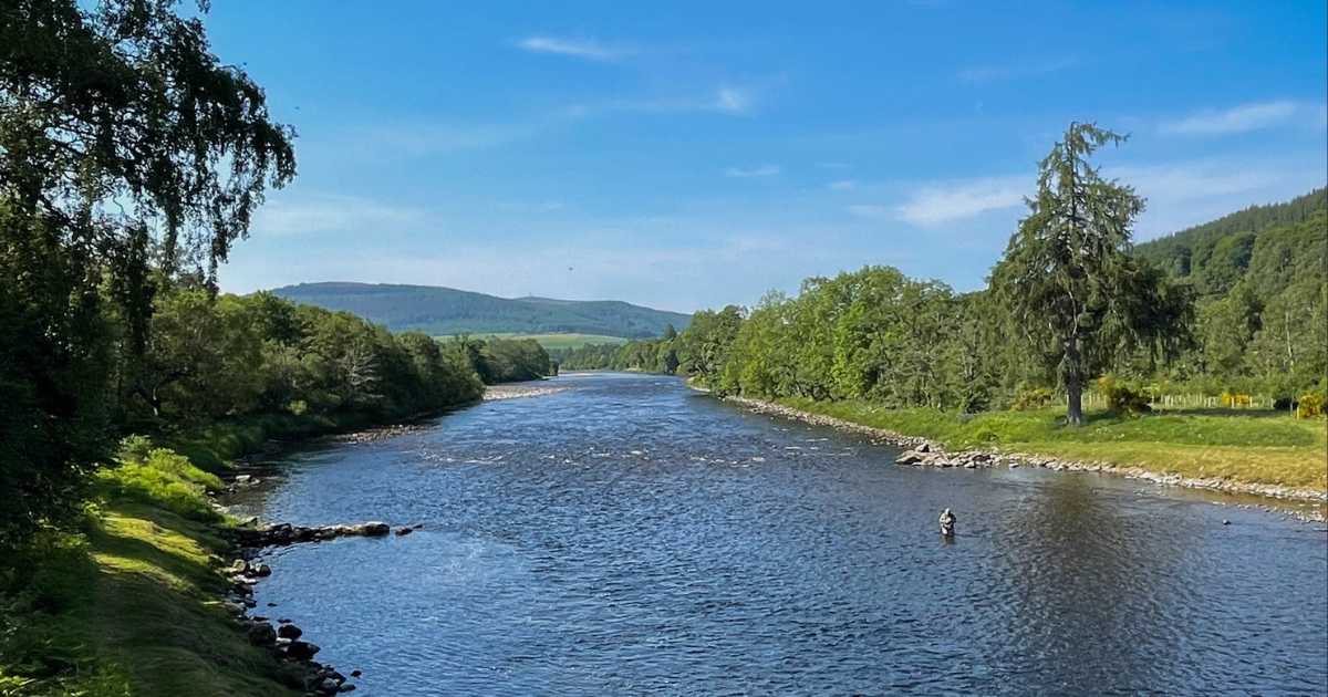 <strong>River Spey: 2023 Spring Catch Declared</strong>