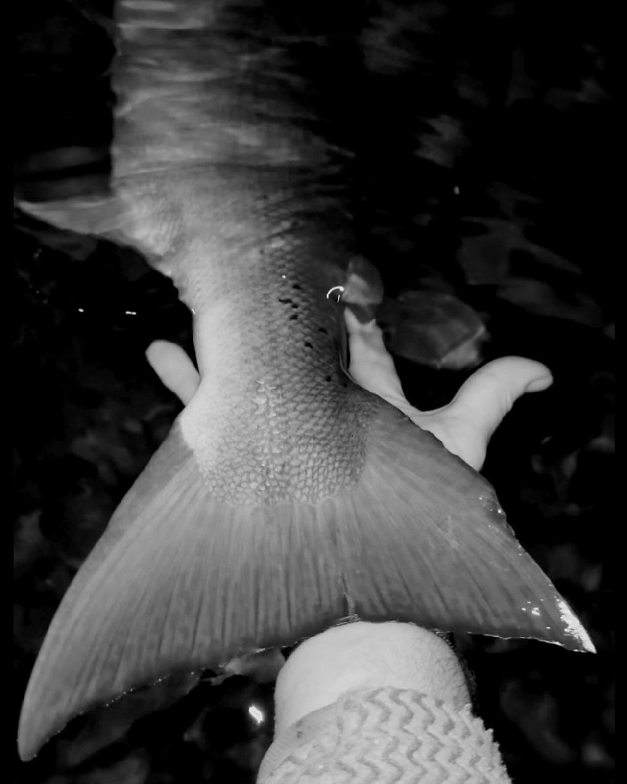 Spey Foundation Announcement